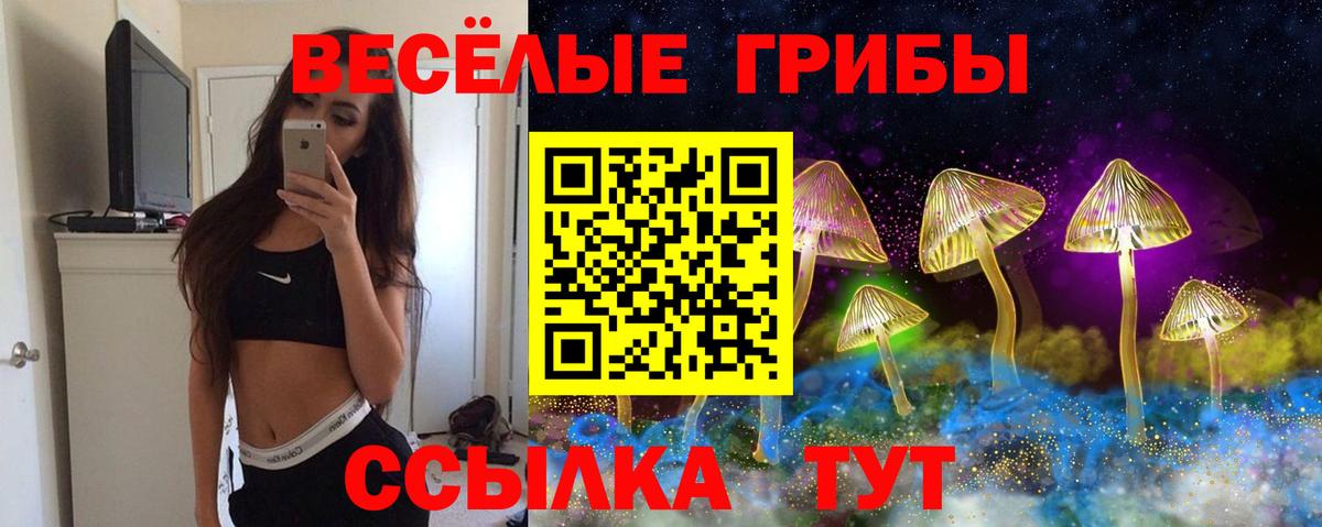 Галлюциногенные грибы прущие грибы Тверь
